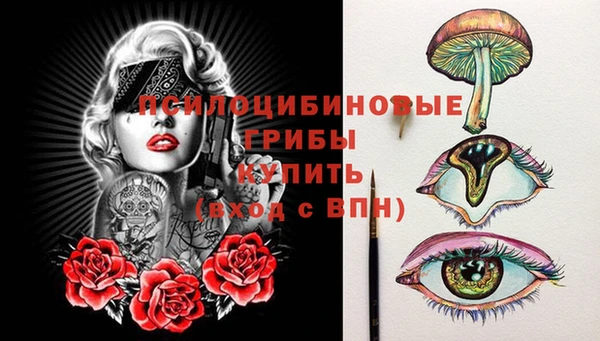 дмт Алзамай