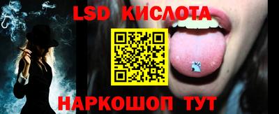 винт Шелехов