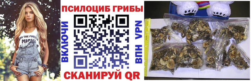 продажа наркотиков  Евпатория  Галлюциногенные грибы Psilocybine cubensis 