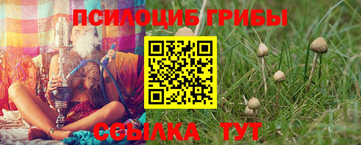 Галлюциногенные грибы ЛСД  Вход с VPN  Евпатория 